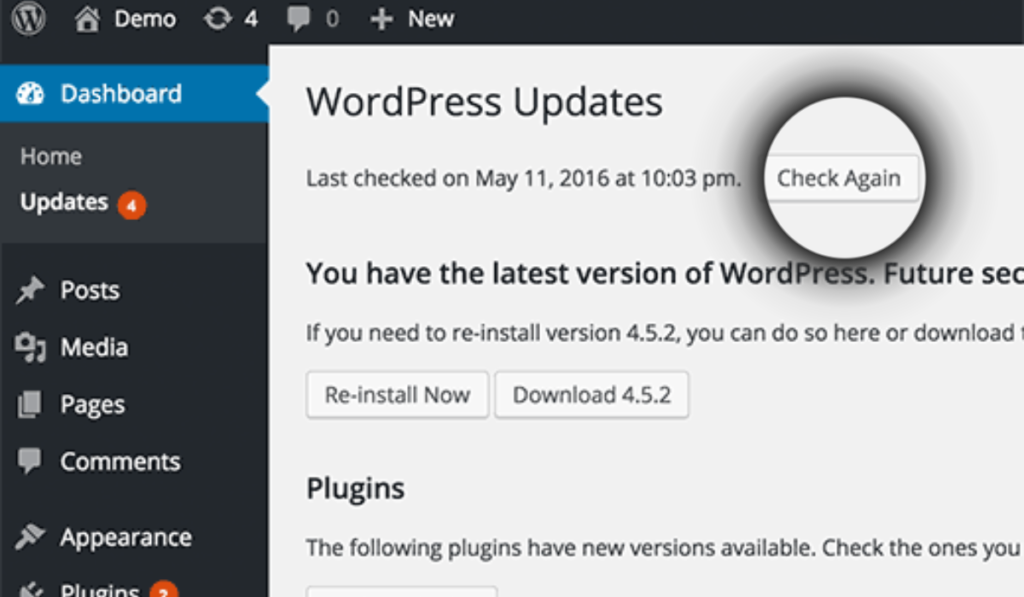 Install WordPress Updates